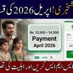 BISP 8171 April 2026 Payment Schedule
